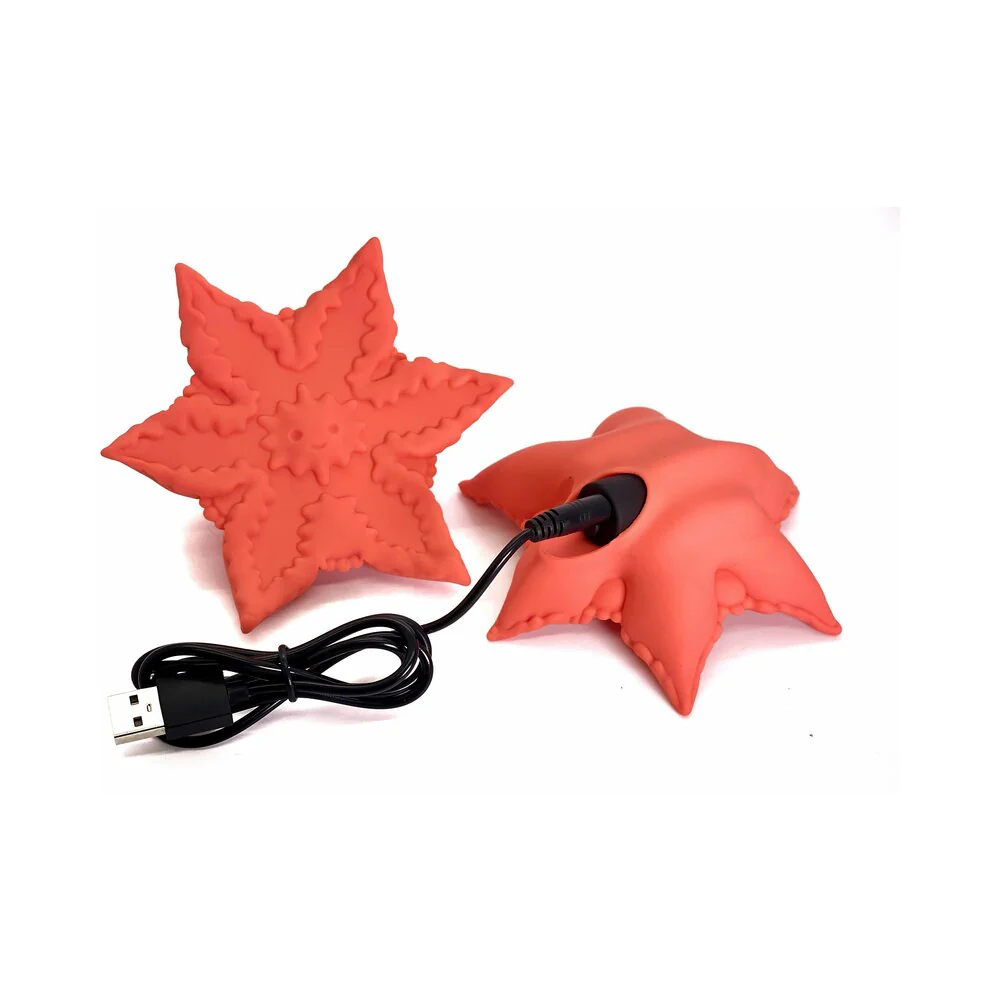 Cute Little Fuckers Starsi 3 Cute Little Fuckers Starsi